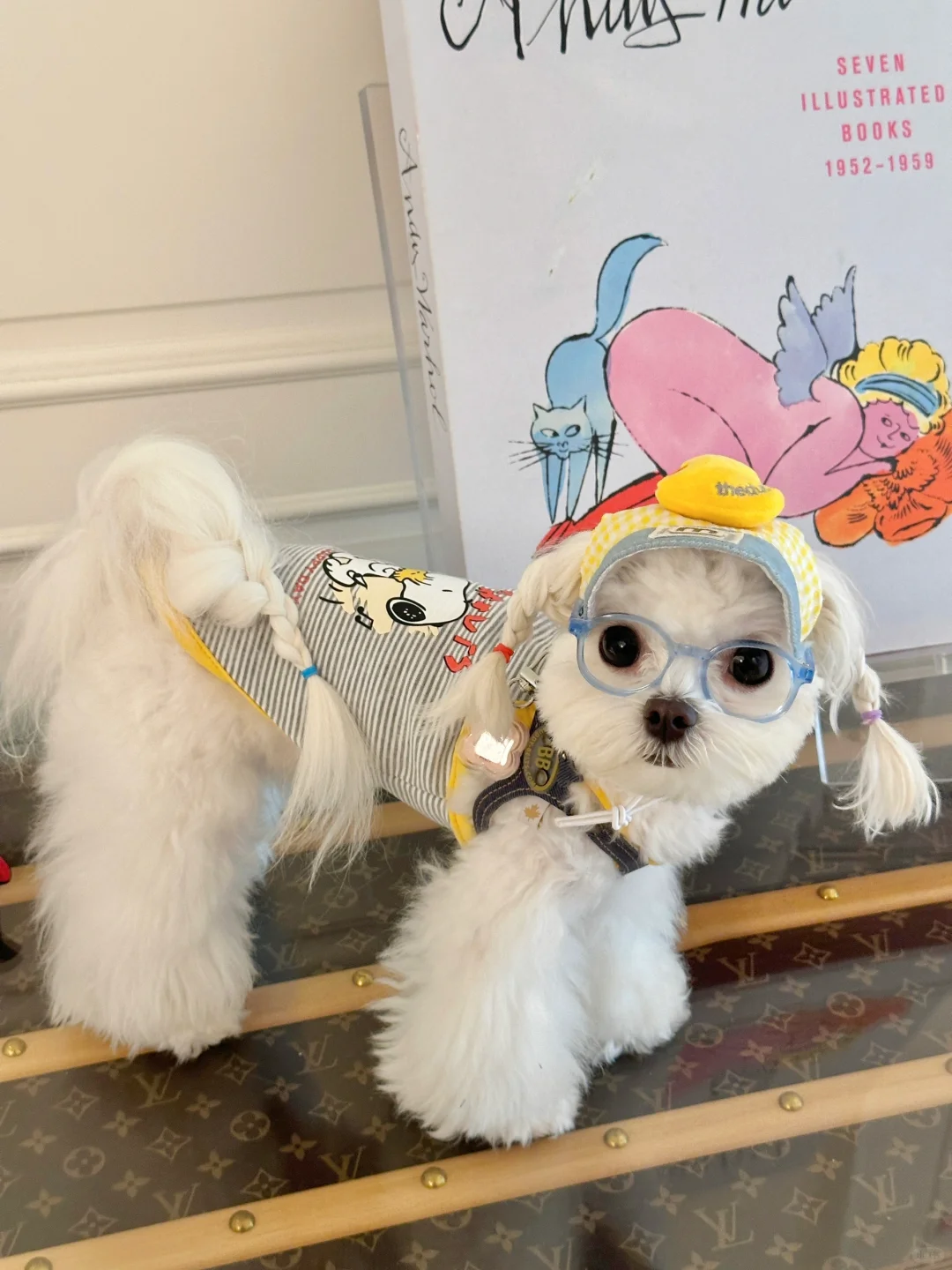 上海这天热的狗都不想出门🐶