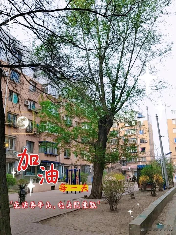 春日生活打卡季