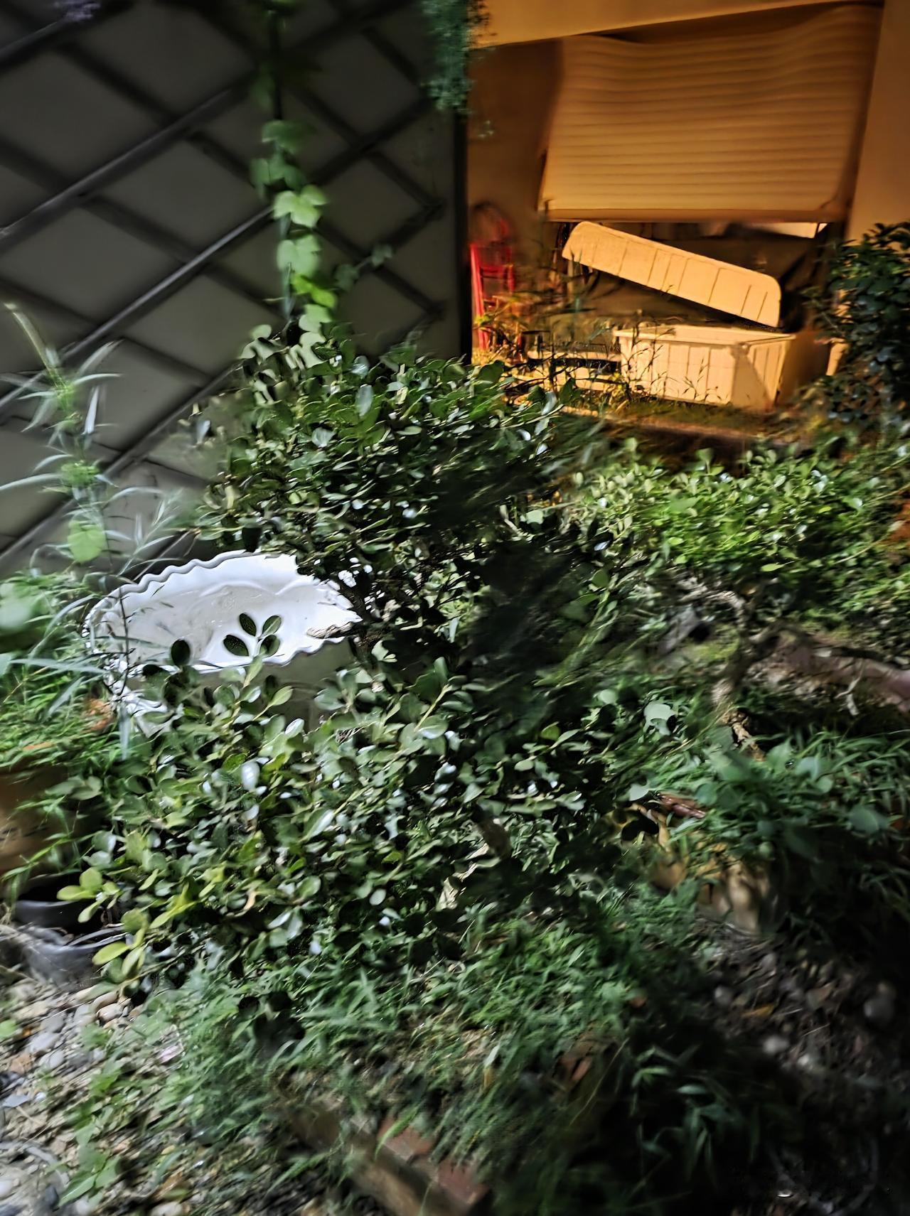 又准备离开了，今天收拾了一天……

尽管在这里冷清、孤寂一些，也尽管感觉这里不是