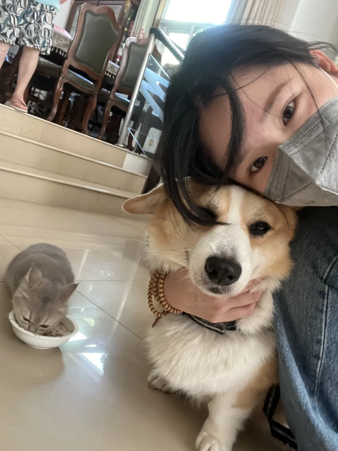 控制住了一只爱偷吃的小狗