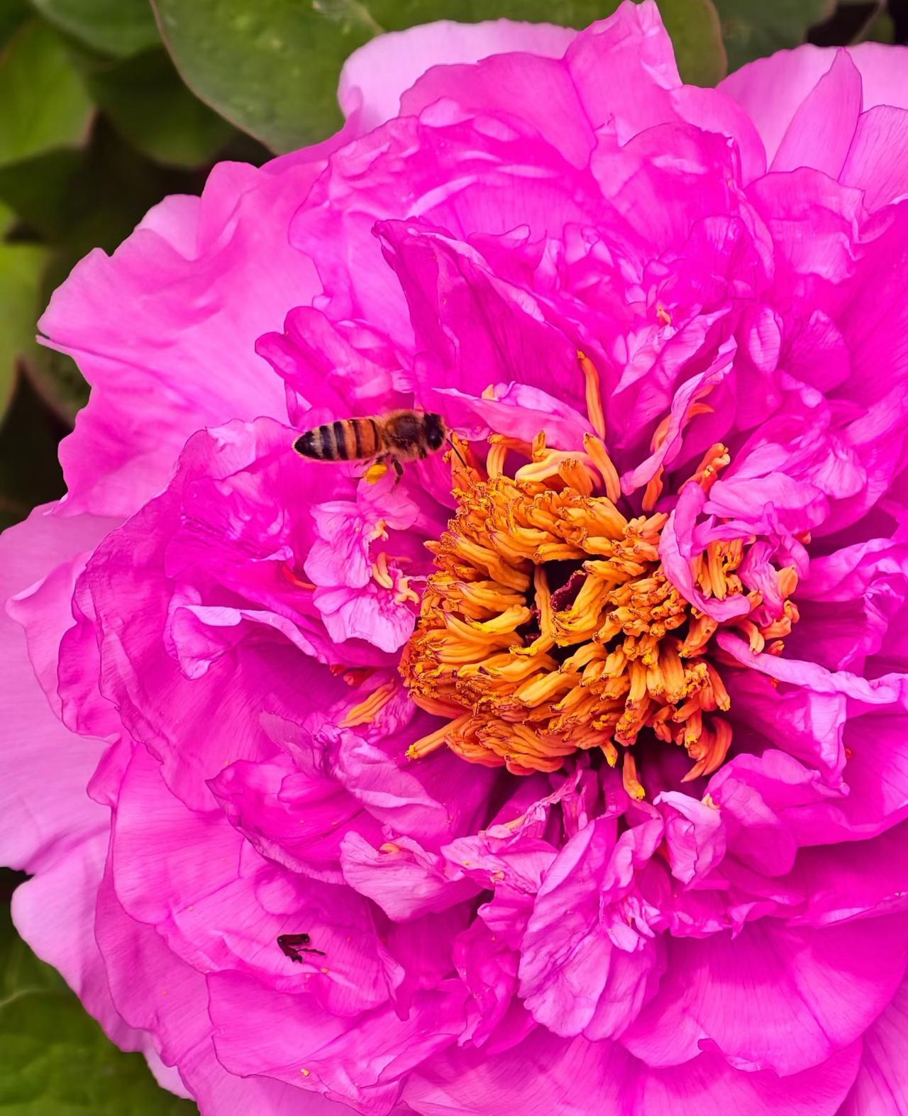 水清驰眸明，
花艳春意盈。
阳光洒寰宇，
万物皆有灵。