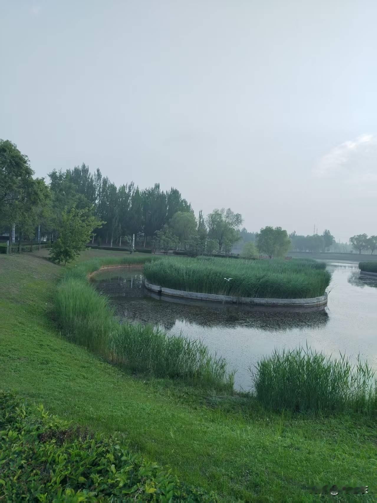破晓光
河塘水气破晓光，
沉迷唐宋思佳章。
鹭鸥掠水攀云上，
请续句……
（灵机