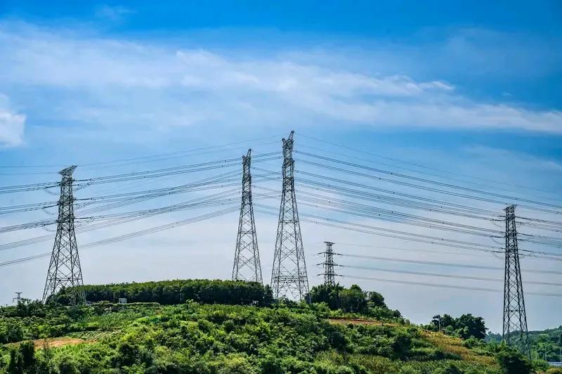 铁塔下的小麦
一位博士在野外偶然发现一个现象：铁塔之下的小麦生长态势良好，而铁塔