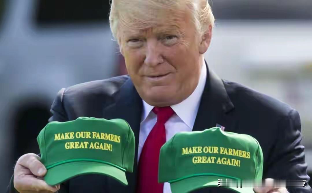 巴西大豆对中方坐地起价，中方利用美国完美把控节奏