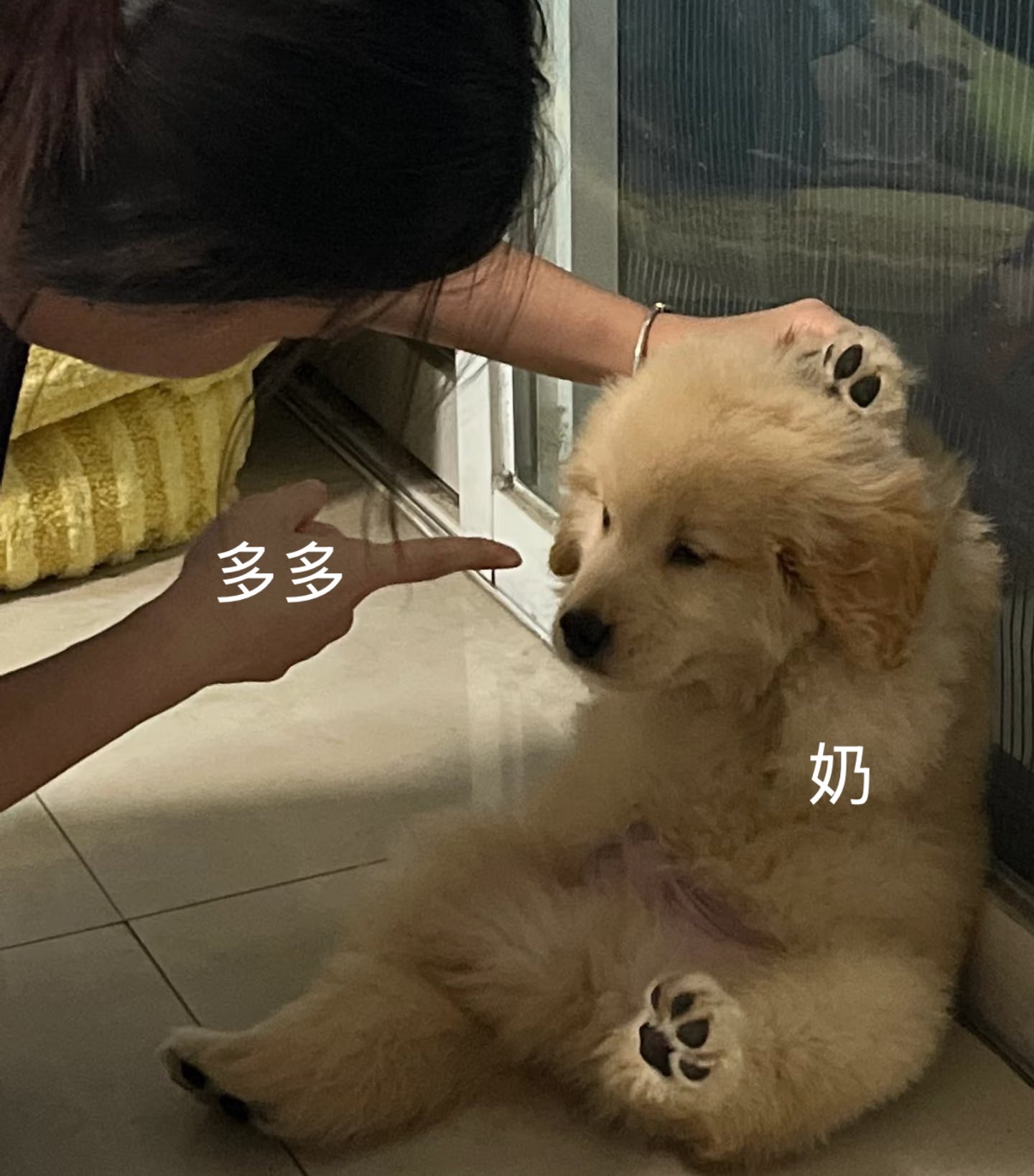 不到五万我不得睡 老奶自己看着办 
