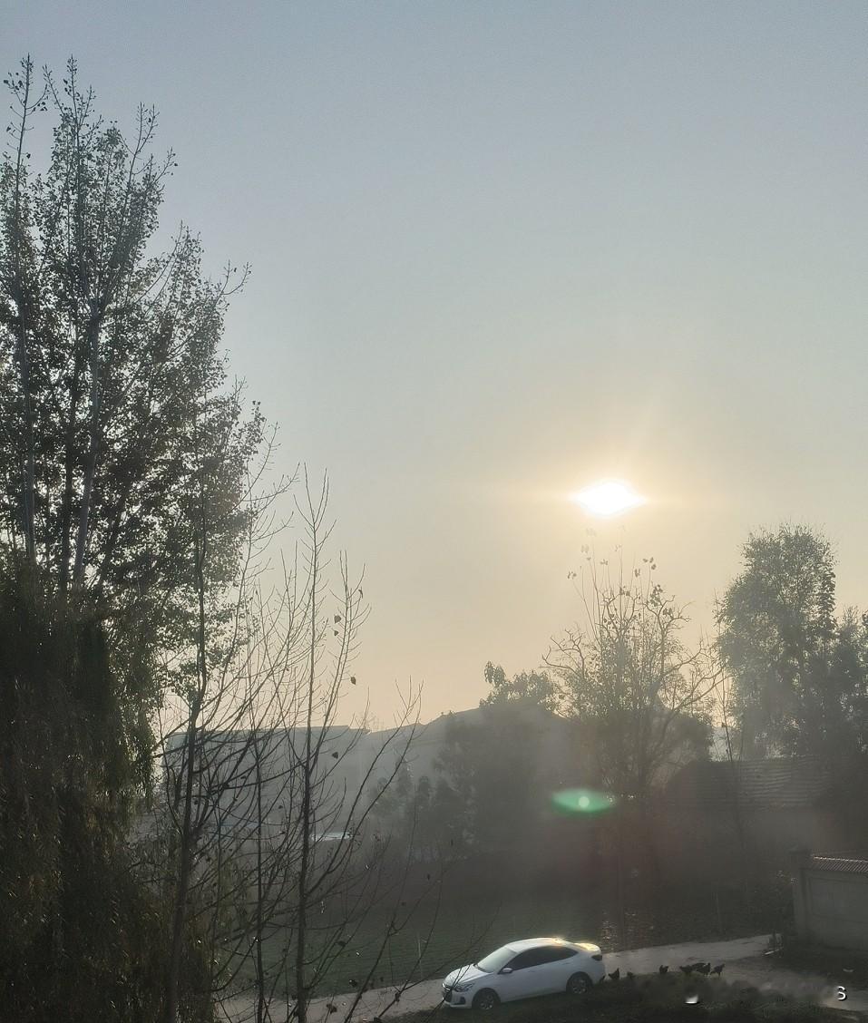 一场本可避免的悲剧：当“狗咬人”演变成“人杀人”，我们该反思什么？

这两天，一