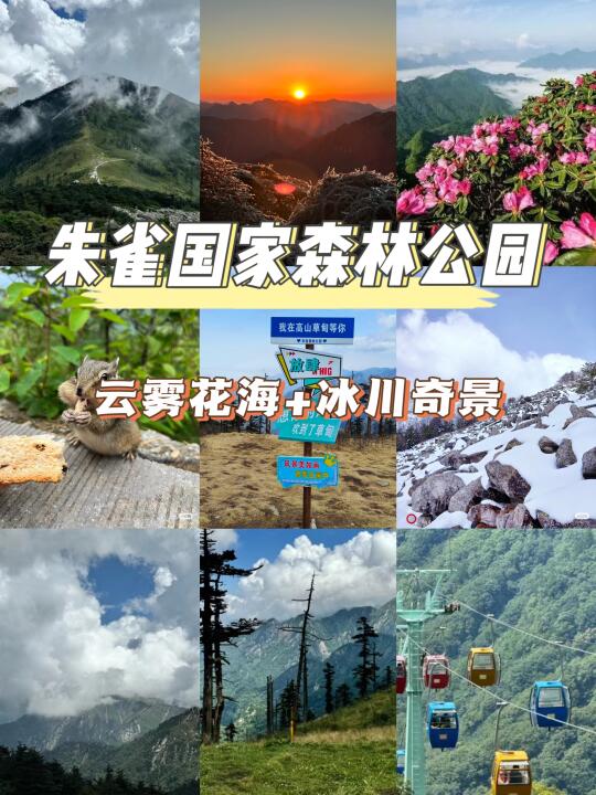 🌸被问爆的踏青路线！朱雀国家森林公园！