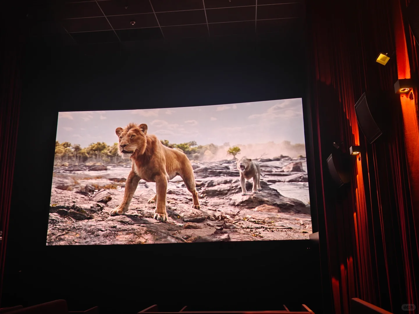 在马来西亚活着就好，千万别投资