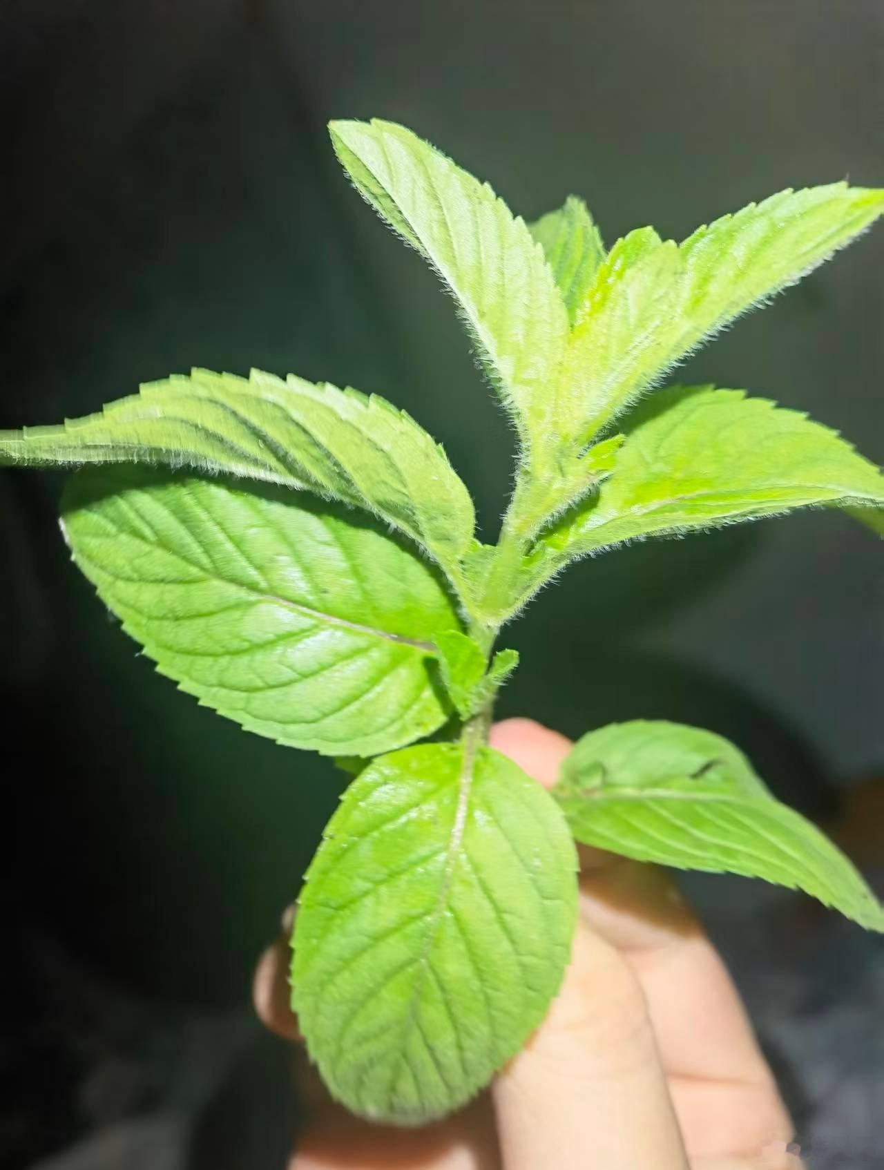 付出了人家还说你自己非要去干的，好想打人