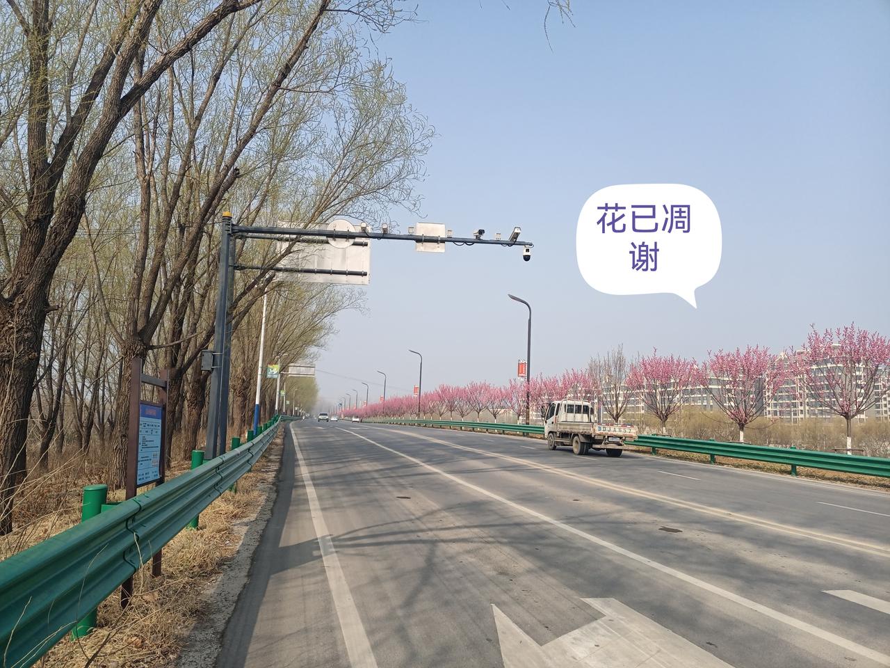 京杭大运河（台儿庄）北岸花谢花又开，风景在路上！（图片来源：老山兰随手拍）