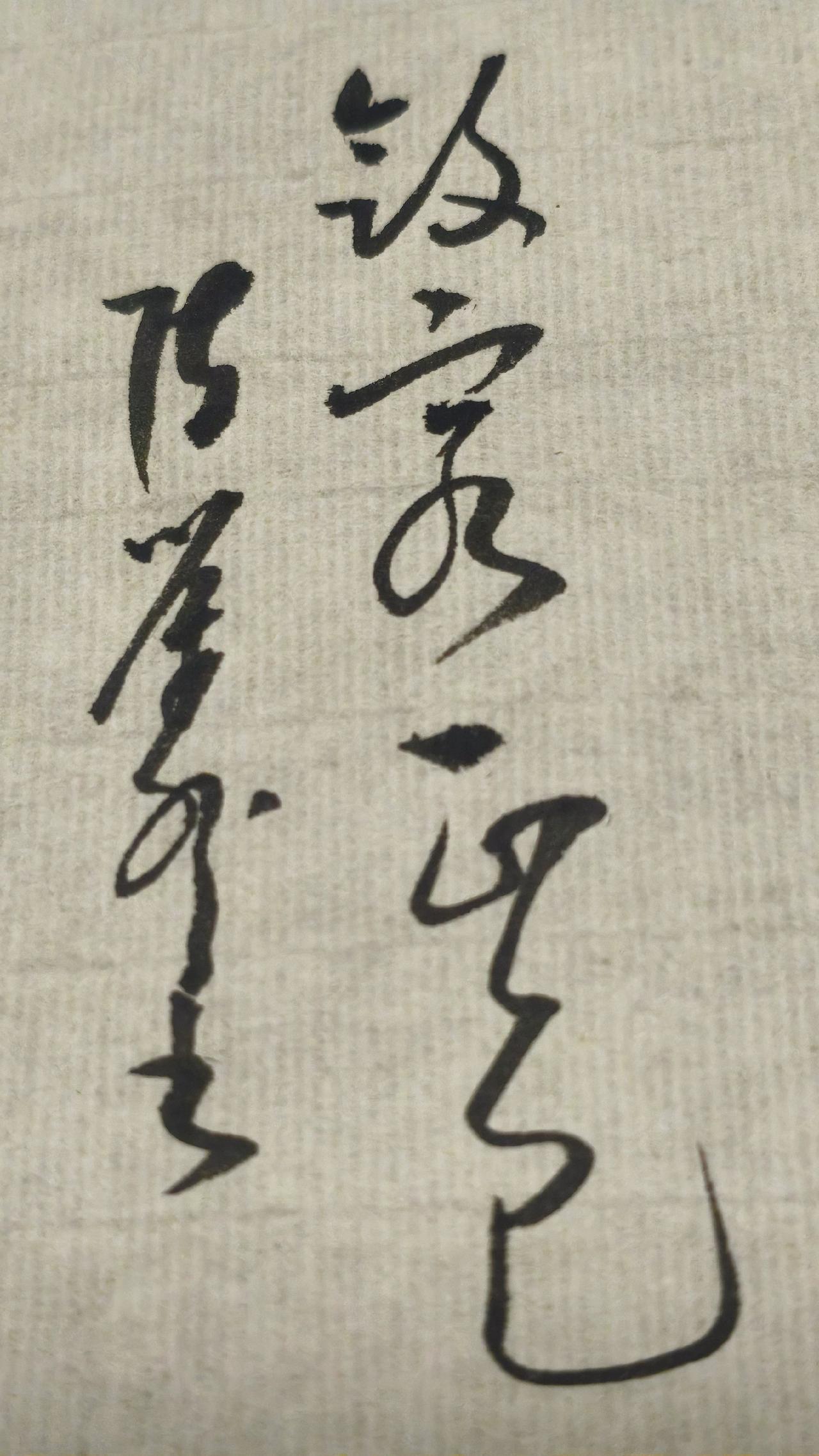 正确的答案写出来评论区聊聊，草书 写字是一种生活