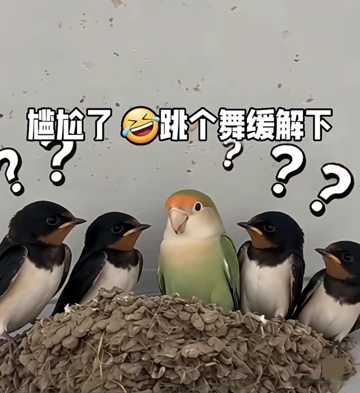 求下联
   上联：油盐酱醋伴日月
   下联：悲欢离合写春秋