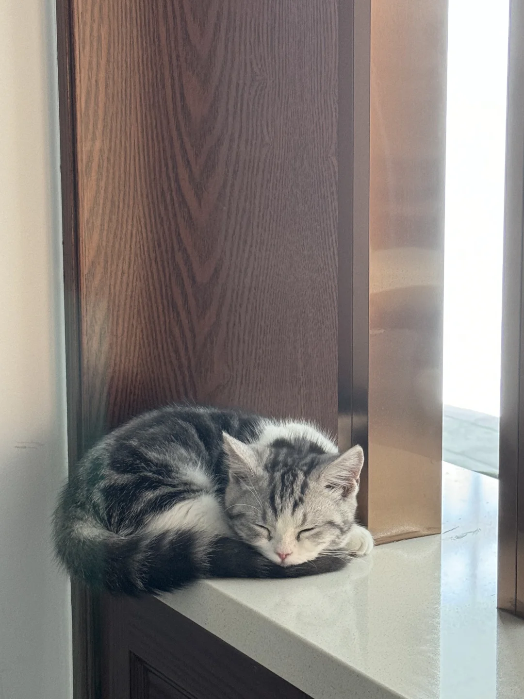 怎么不出去赚罐罐💰！