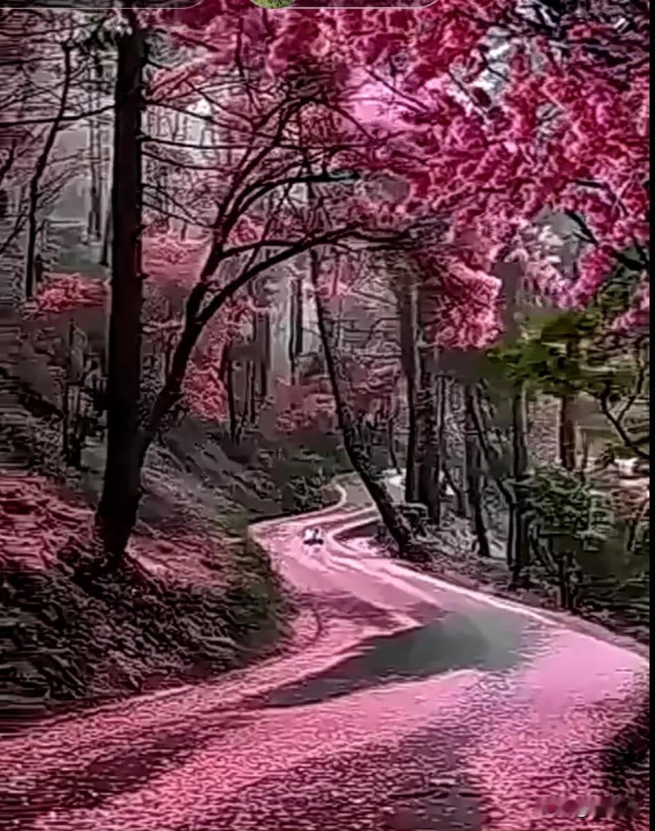 #上联:春去花辞树，下联您请#
上联：春去花辞树，
下联：秋来叶归根。
