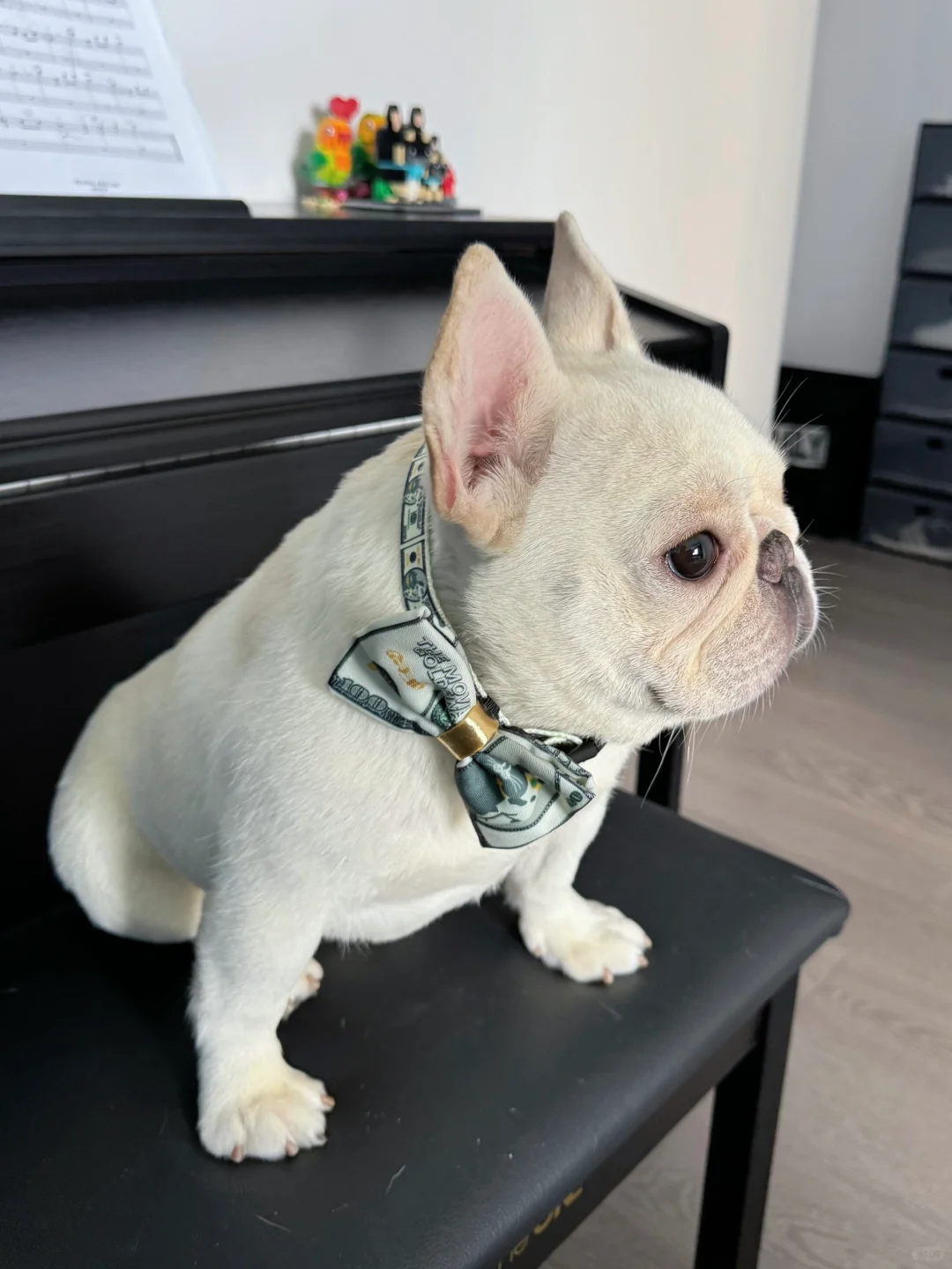 您好，0618号小狗经理为您服务！