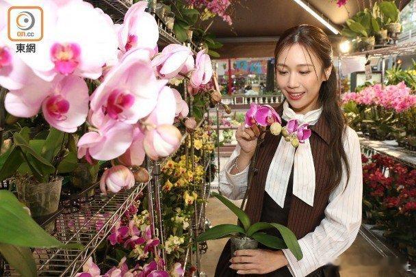 藝人何沛珈早前趁住空檔到花墟辦年貨，選購年花並走到附近排檔買粒果，笑言每年都很期