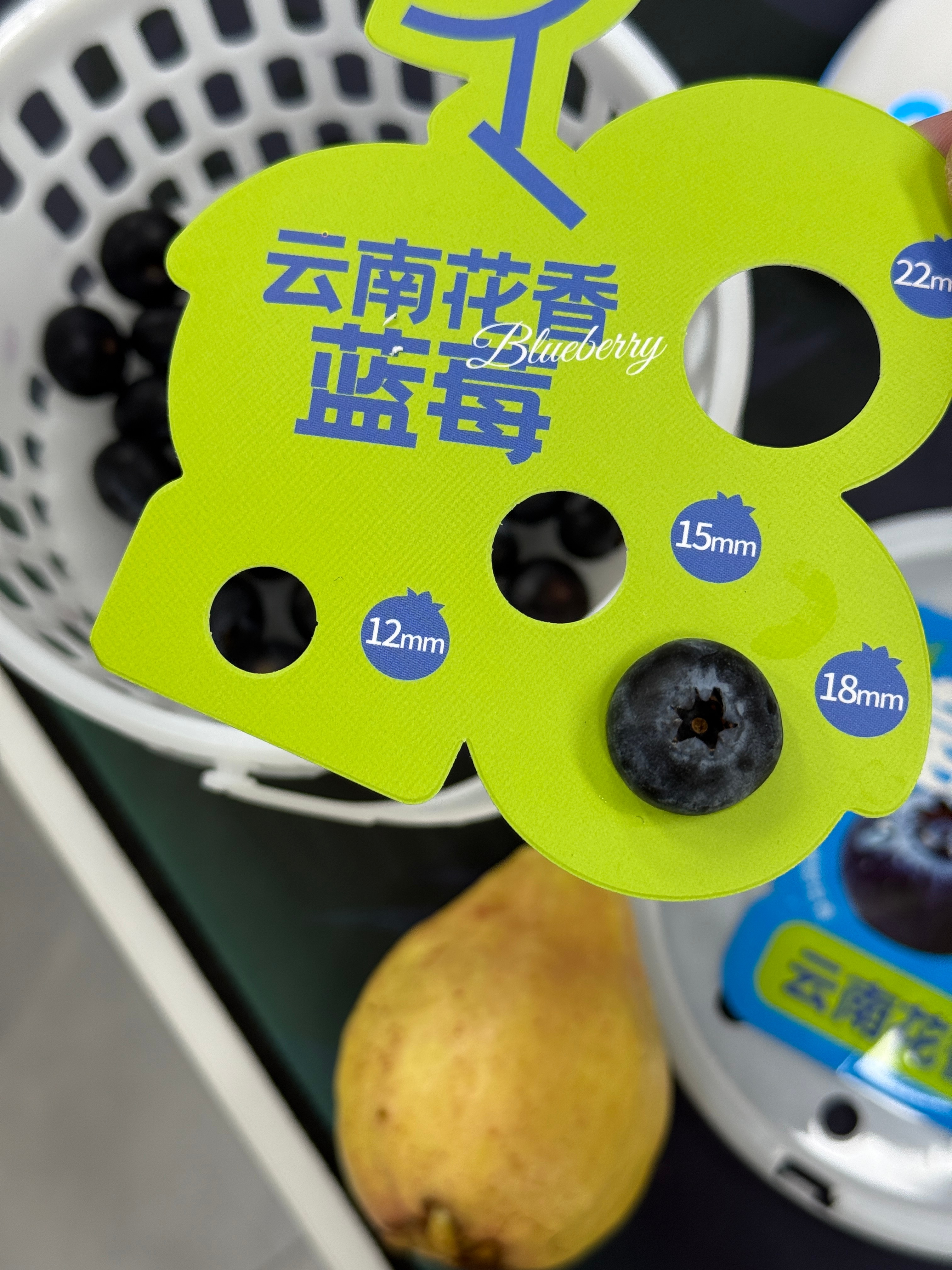 这个蓝莓是啥新品种？感觉饱满到都快爆了的那种，而且吃起来带花香，不酸，是脆脆的口