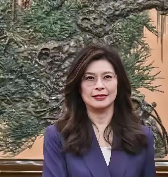 瞒不住了！郑丽文访陆，台湾县市长集体发声，蒋万安、侯友宜、张善政态度太真实

郑