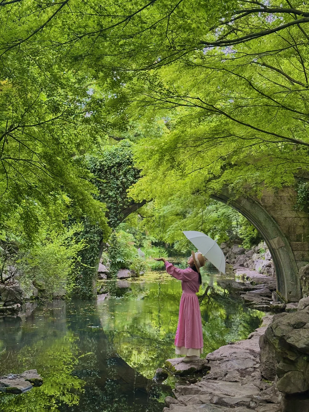 杭州初夏，是个巨大的绿色能量场🌳附机位