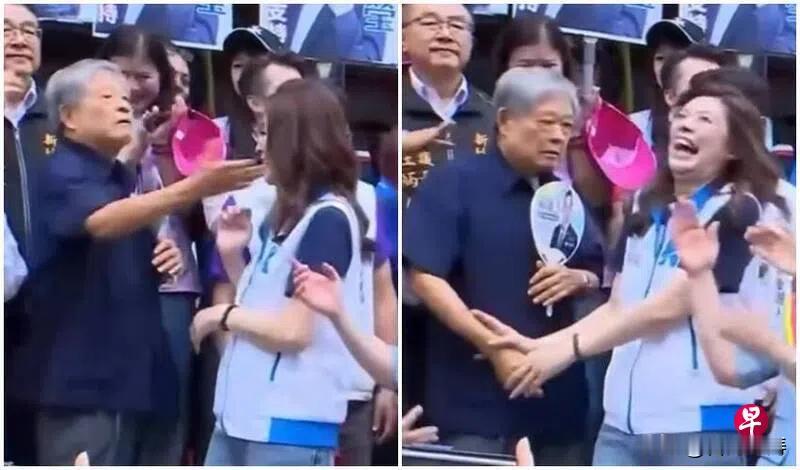 郑丽文险遭老登掌掴
中国国民党主席郑丽文在新竹县为徐欣莹登记参选县长站台时，遭前