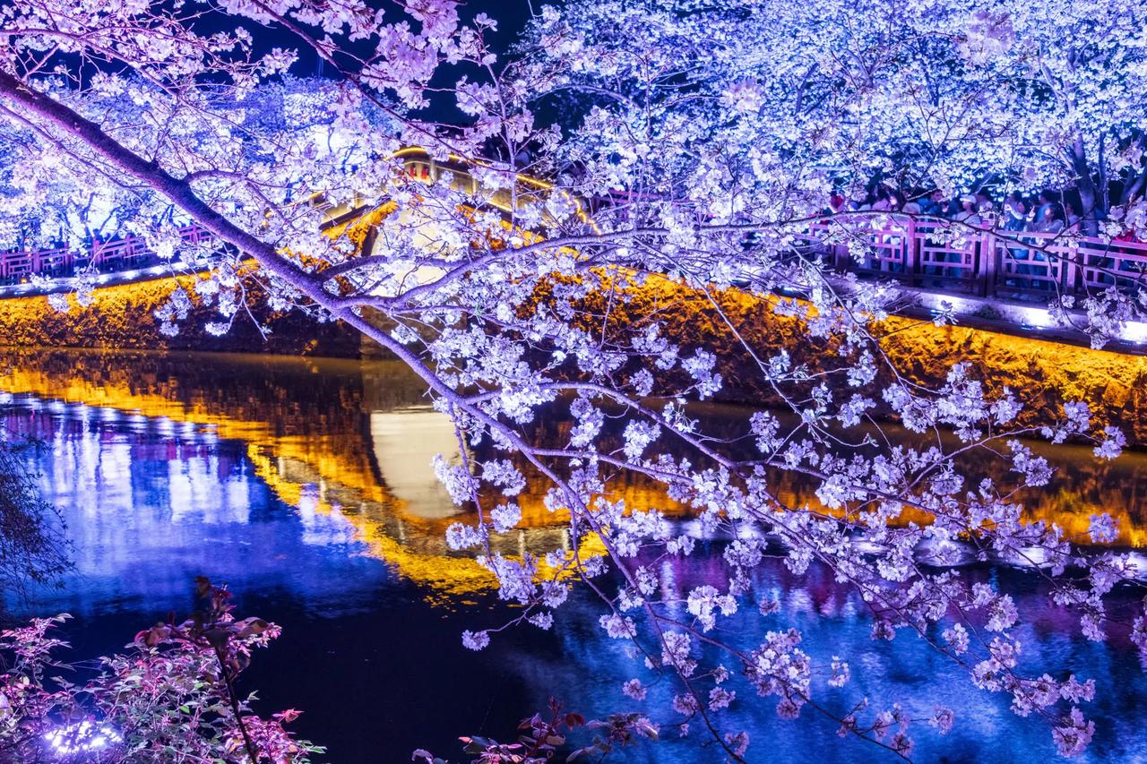 无锡鼋头渚。无锡鼋头渚风光摄影 原创摄影 我的摄影日记