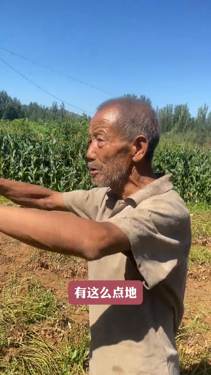 这个社会很好，好在哪里？只要动弹就有饭吃，只要不懒，有这么点地种上就饿不死你。钱