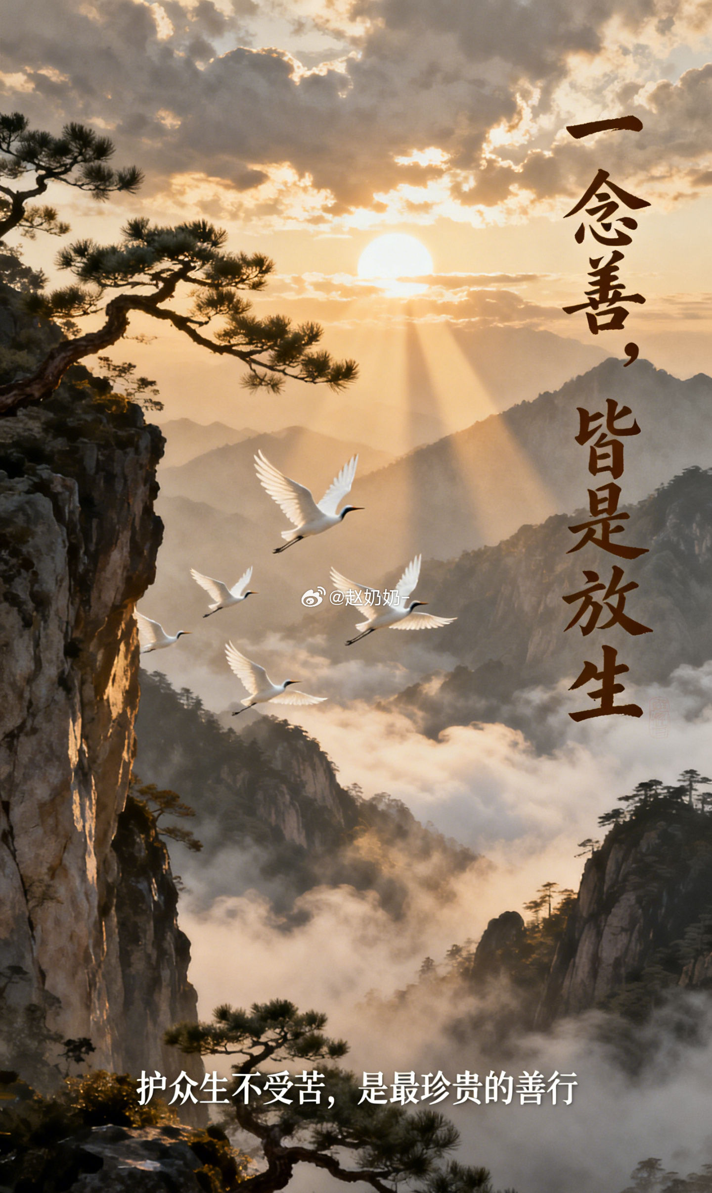 很多放生的鱼和鸟，放下去当天就死了。市场里那些专为放生养的鱼鸟，不少本就体弱，一