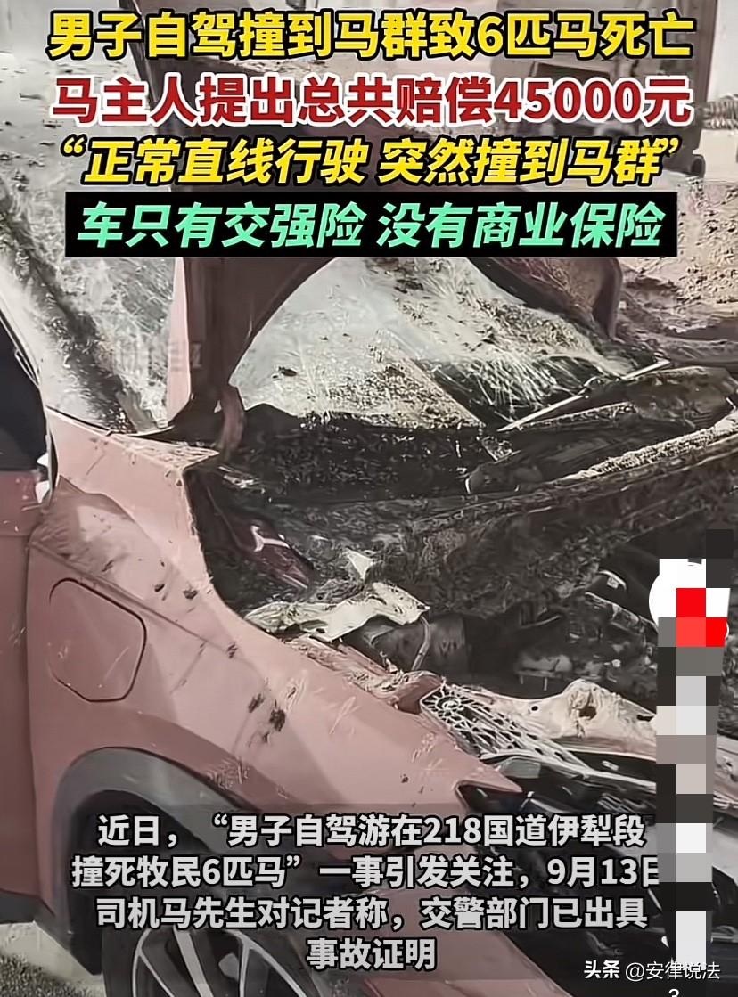 男子一行4人从河南开着一辆新能源汽车到西北自驾游，开启辅助驾驶模式，途经218国