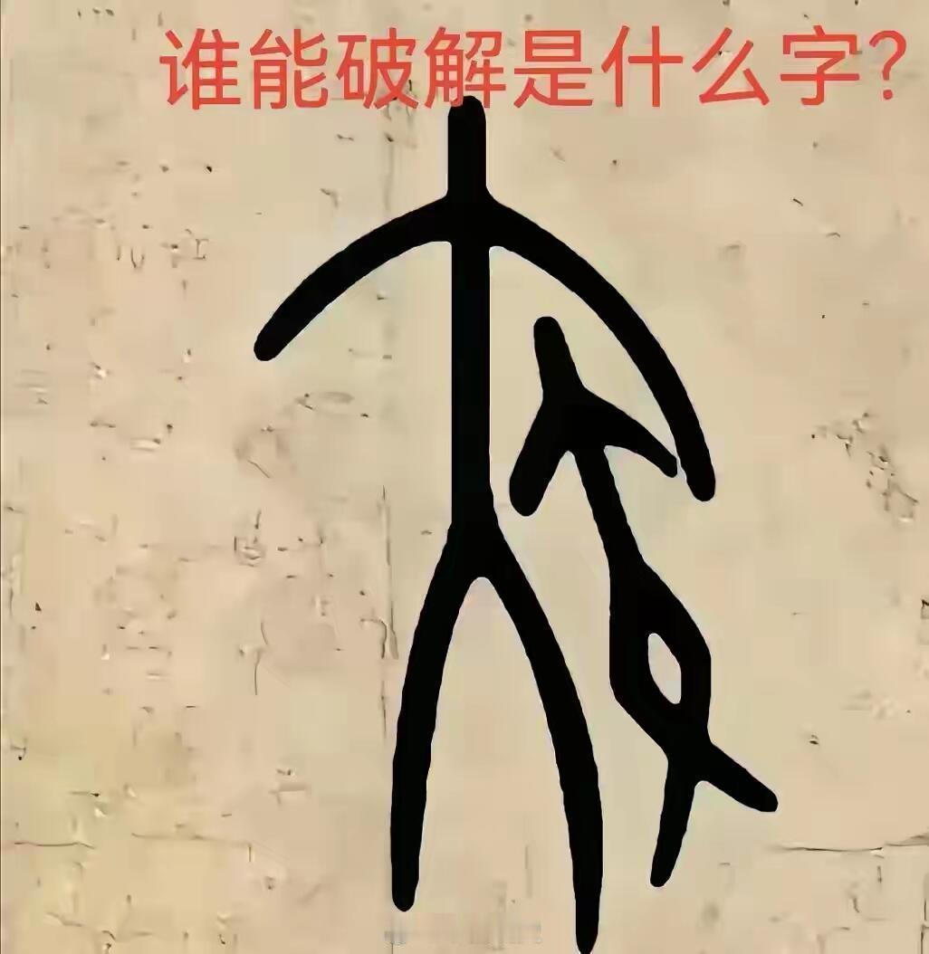 谁能破解这个字？甲骨文确实难破解中国文字博物馆为激励破解悬赏破译一字奖10万理论