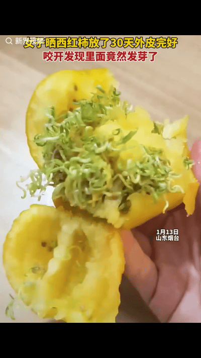 “解释不清了！”山东一女子在家闲来无事，拿来西红柿吃了一口，不料，竟看见西红柿里