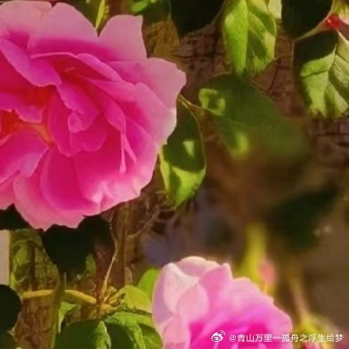 常年销量最高、最畅销的就是这几款，闭眼入不踩雷：🔥 顶级畅销王（男女通杀、常年