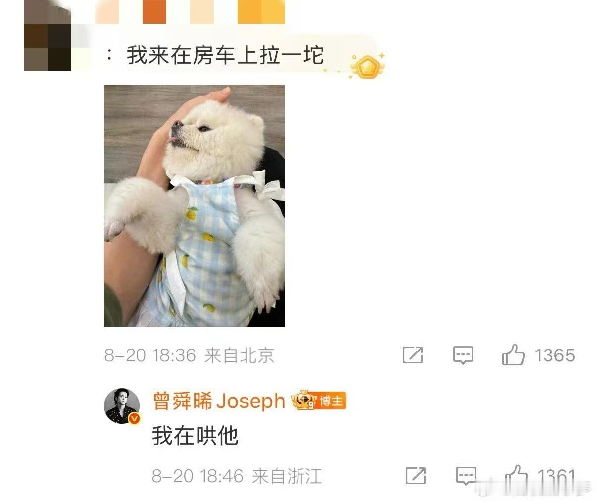 两日不见曾舜晞背着我有别的狗了 虽然新狗狗很可爱，但看到曾舜晞摸它头时的眼神，和