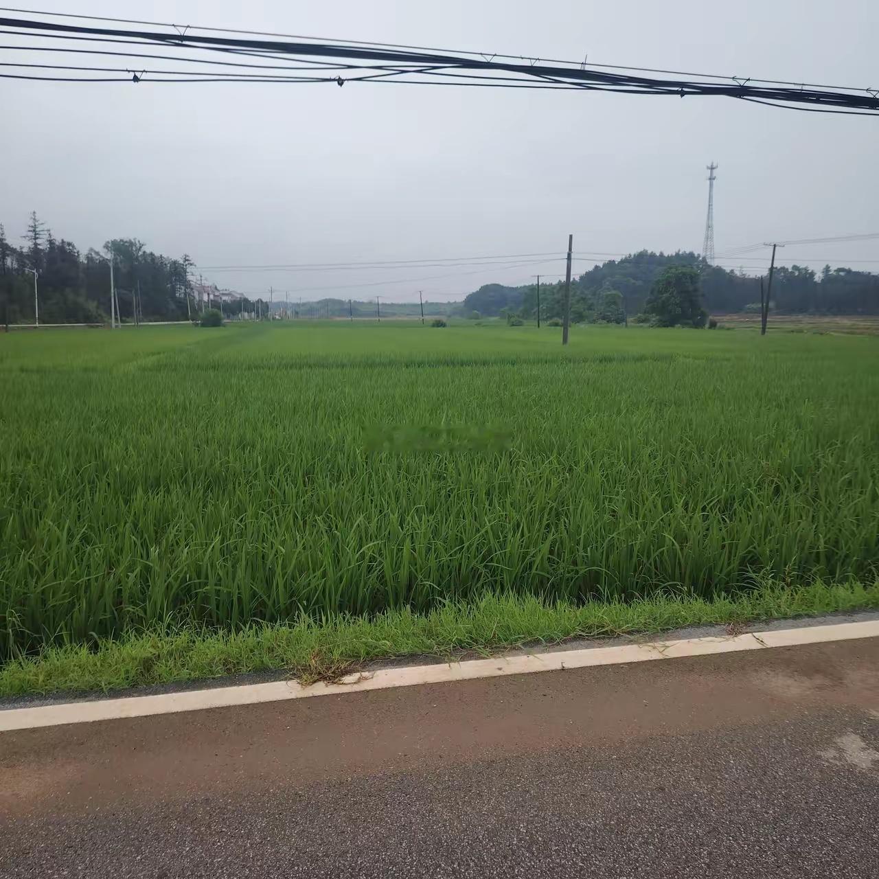 人生如果能做到这八戒，1，戒色2，戒赌3，戒烟4，戒酒5，戒贪6，戒杀7，戒淫8