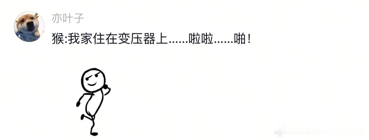 猴：给你们看一下真正的钢丝猴 