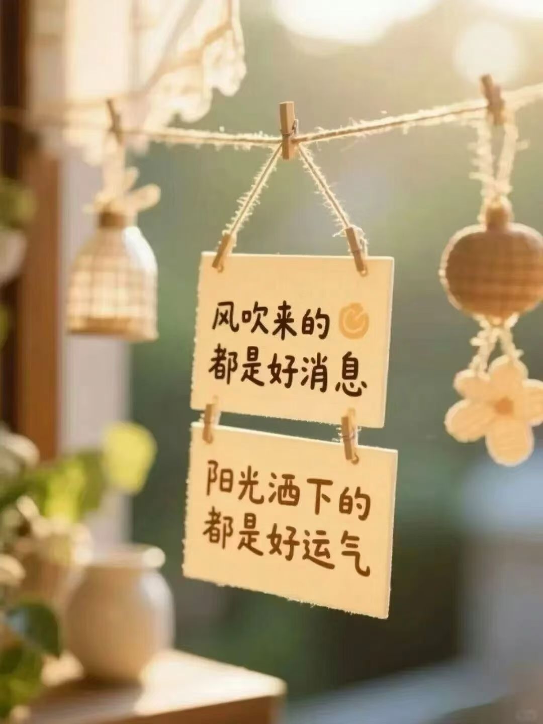 周五，早安☀️风吹来的都是好消息，阳光撒下的都是好运气。Success usua