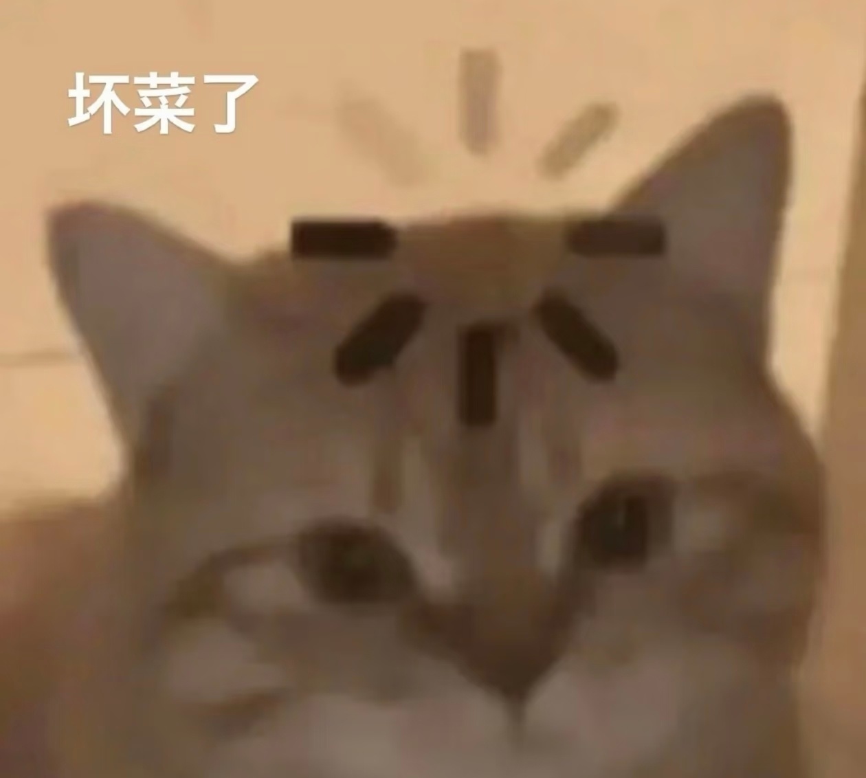本来想去月月🫘找一个视频等我回过神已经刷了半小时的🫘了… 