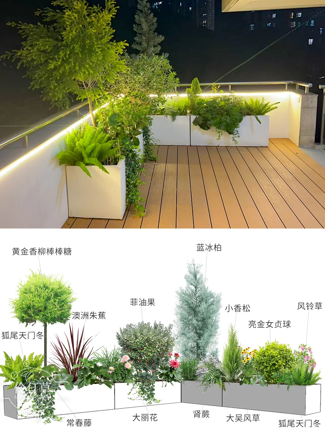 预算3000+💰打造秋冬氛围感露台花园！
