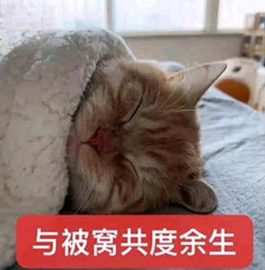 梦见手机丢了，一查踪迹，奔着首都机场就过去了，急得我呀……手机不值钱，问题是还没