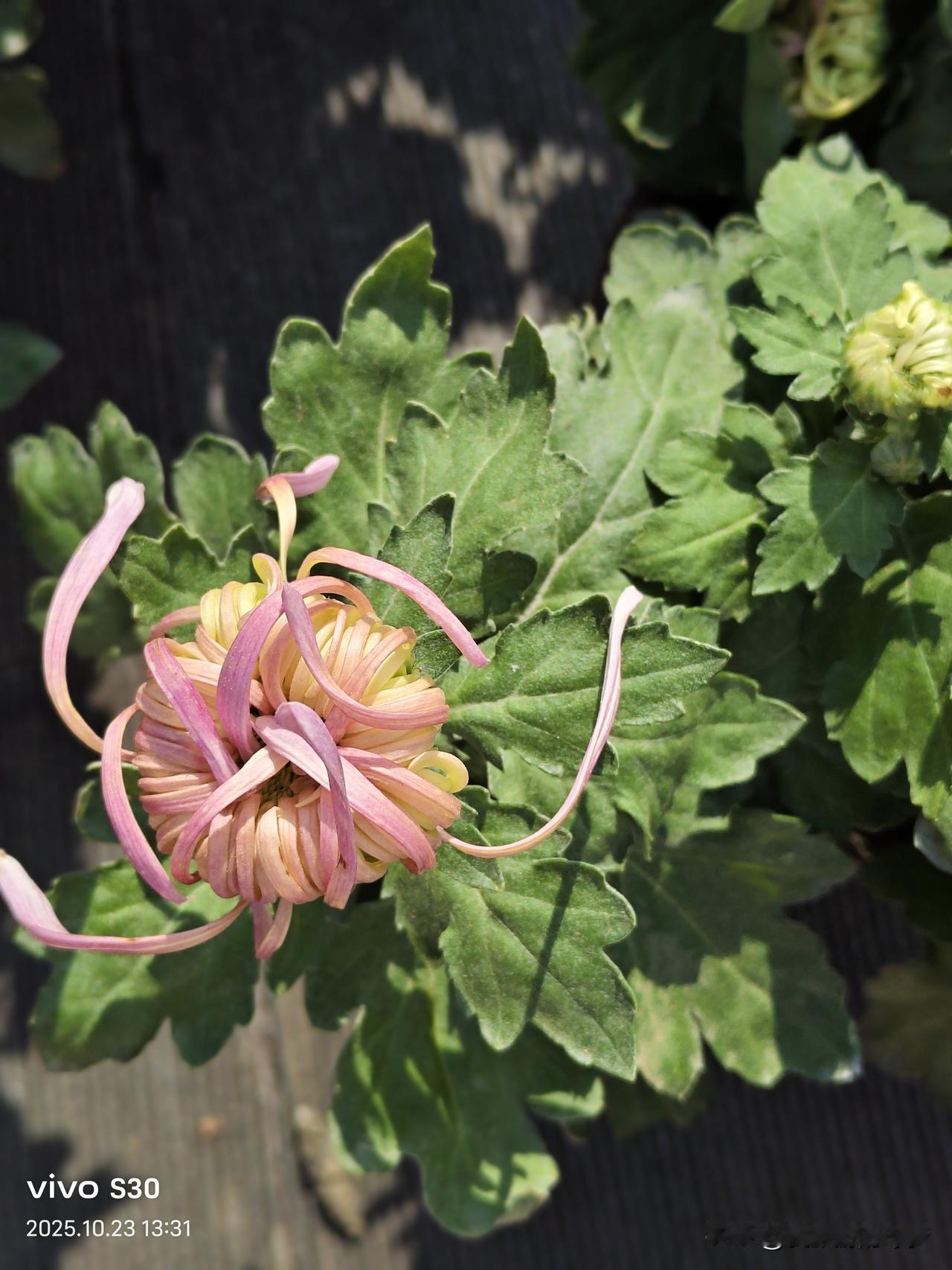 在异乡突然想家的瞬间