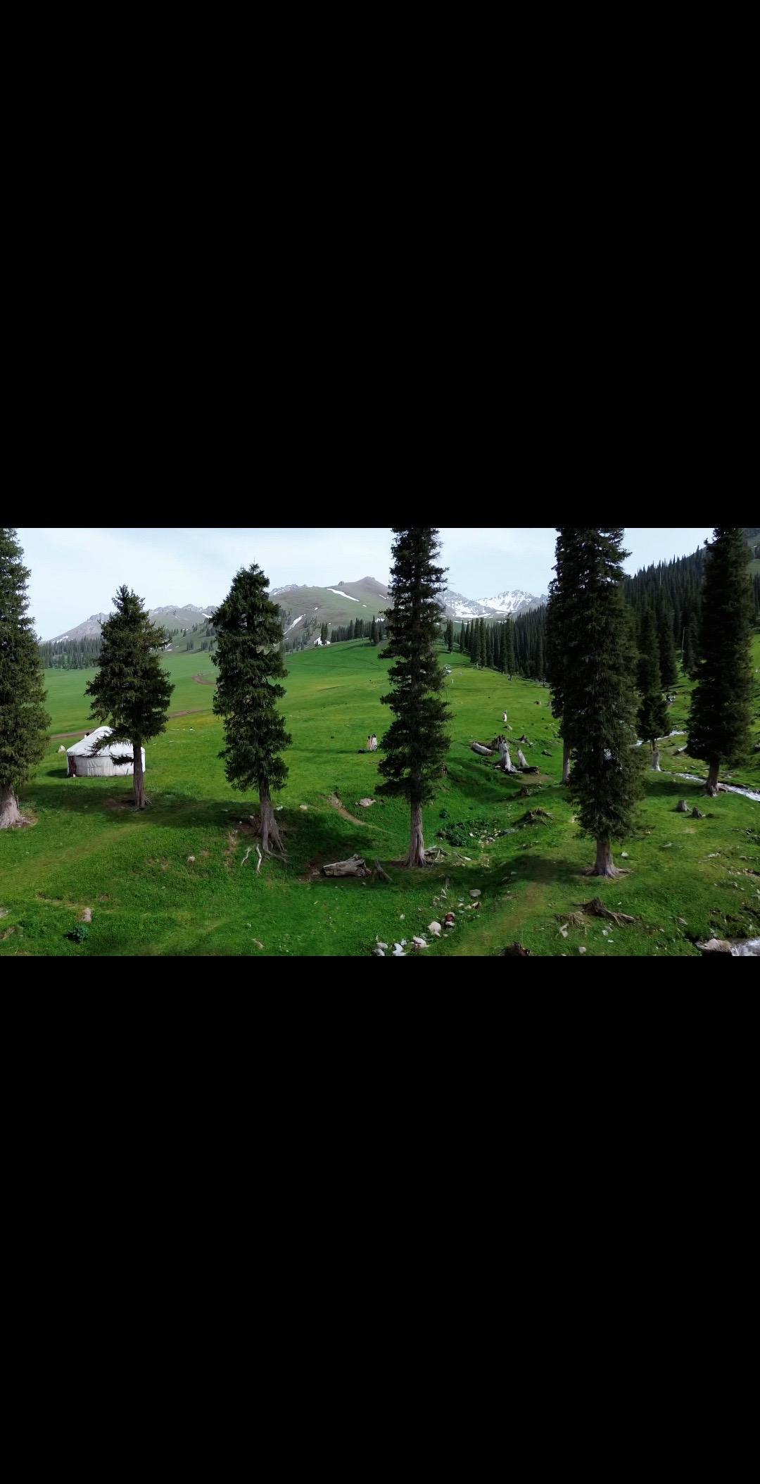 底层父母是非常典型的牛马思维 他们不仅是命运的受害者 还试图主动选择跪...