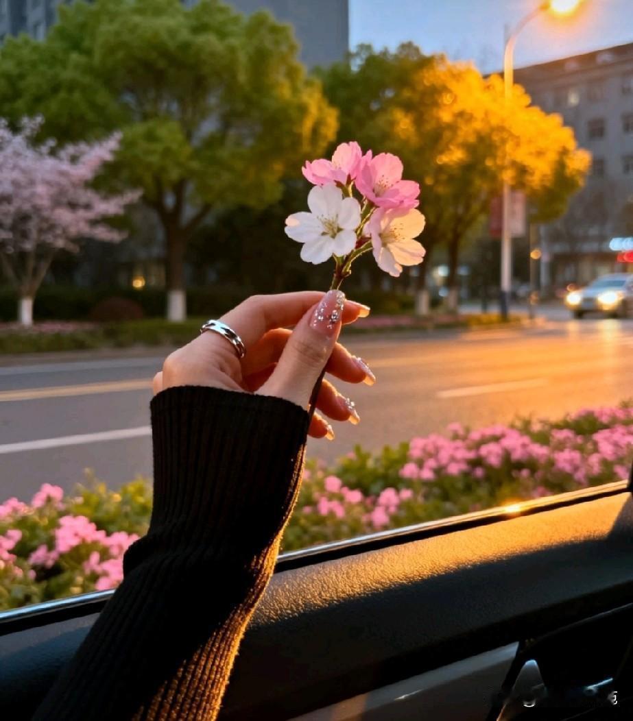 总有一天你会懂，真正能让你走出来的不是岁月，而是你终于肯放过自己。

生活本就沟