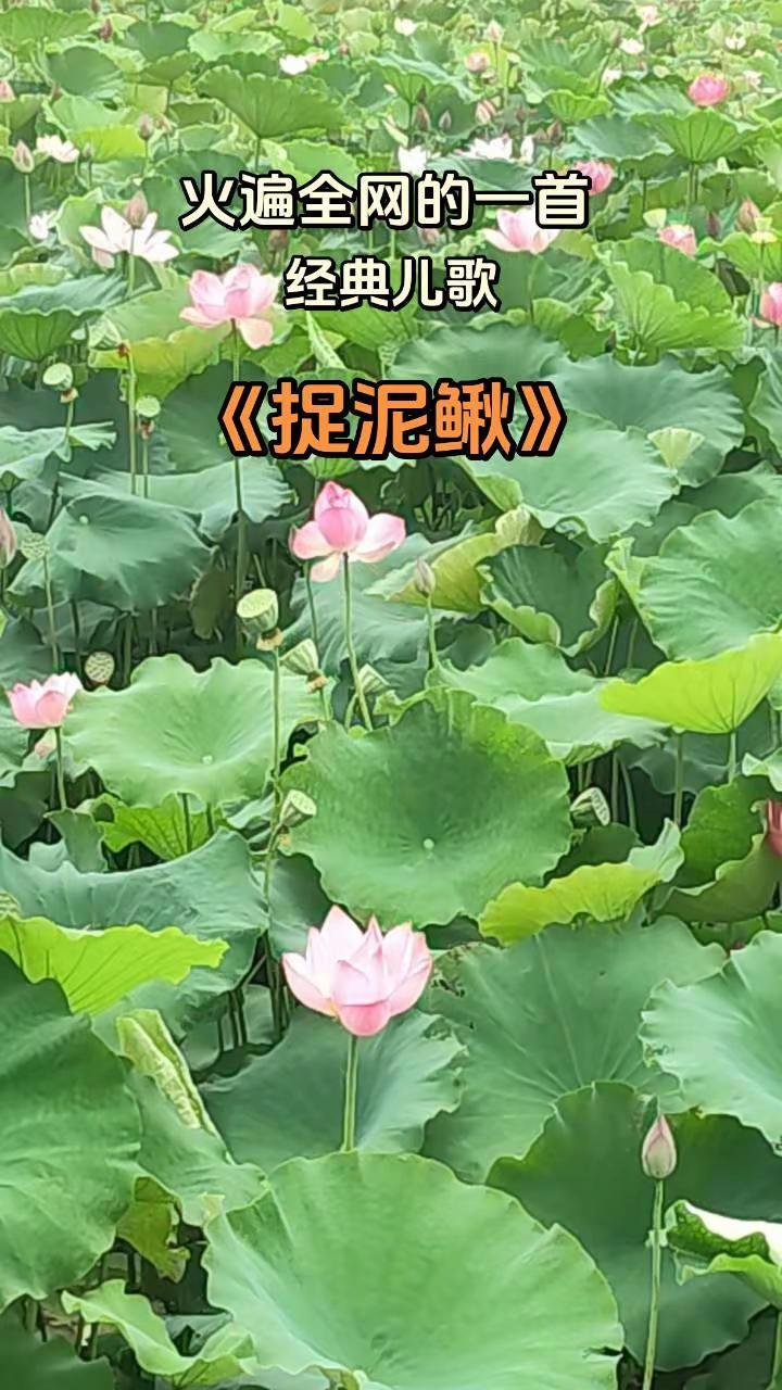 这么火的歌我也赶紧趁热跟一个，看看有没有人看玩法合伙人计划