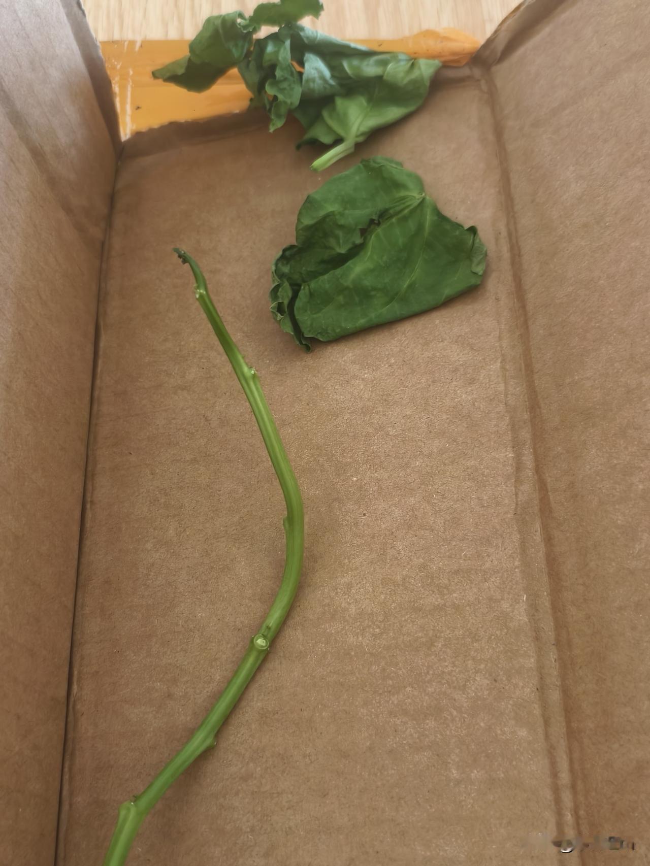 我平时网购，不管商品好坏，基本都很少写评价，最近却总接到电话，让我给某件商品写好