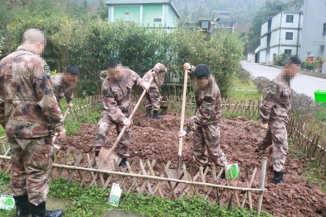 我家的地挖不完咯，都给我过来帮忙。军营的每一天 迷彩服下的担当 野外驻训