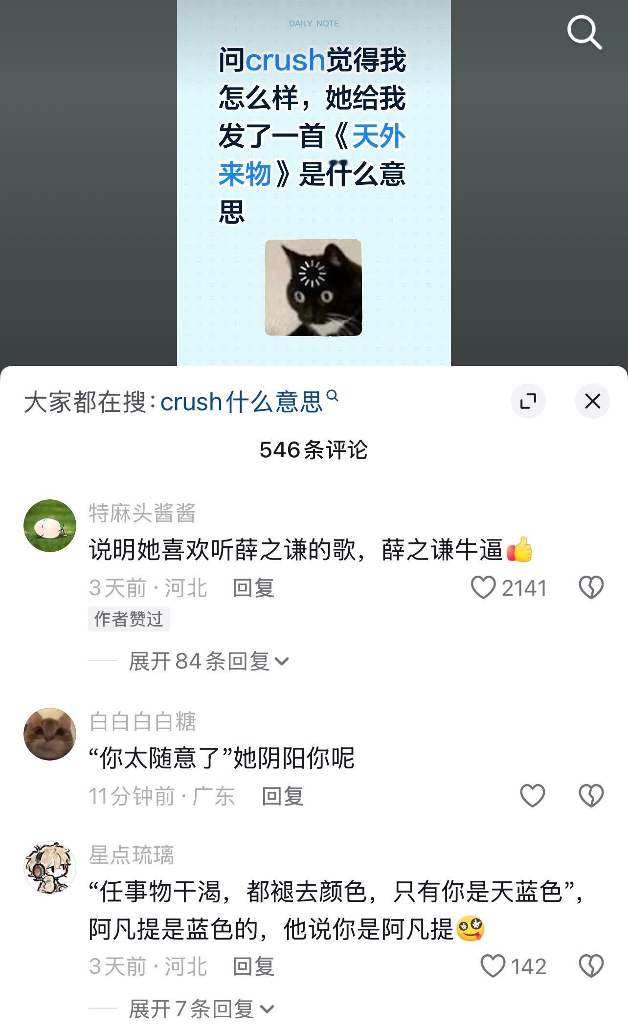 哈哈哈哈哈哈哈谦丝捣乱 