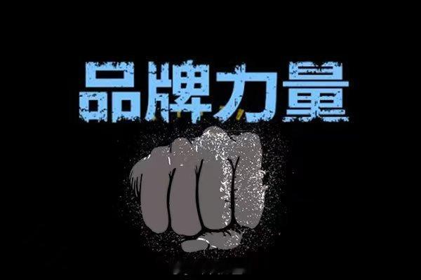 全球品牌中国线上500强发布持续追踪中国线上消费品牌的动态变化，不仅有助于品牌商