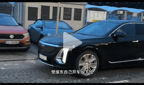 樊振东在德甲挺好的，开着品牌代言的凯迪拉克，拉着队友一起去球场，平安夜被好朋友波