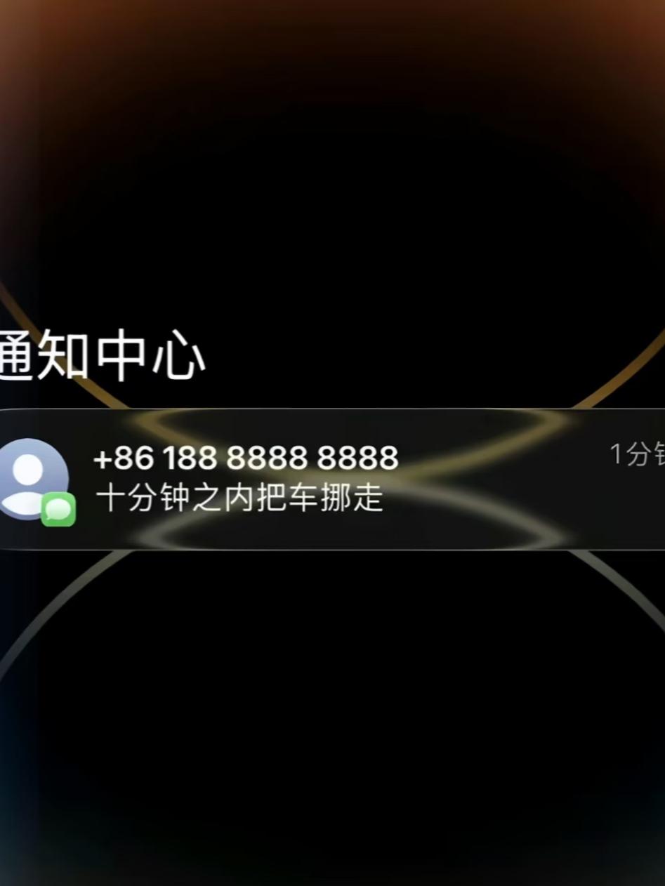 我一直在琢磨，我拖着不挪车会有什么后果。

这种号码，运营商有专属白名单功能，得