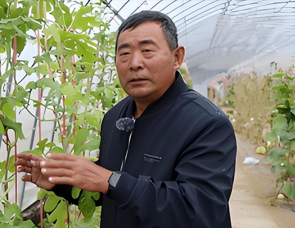 一个连字都不认，没上过大学的农民，竟然攻克了难道美国、日本众多专家研究十几年都没