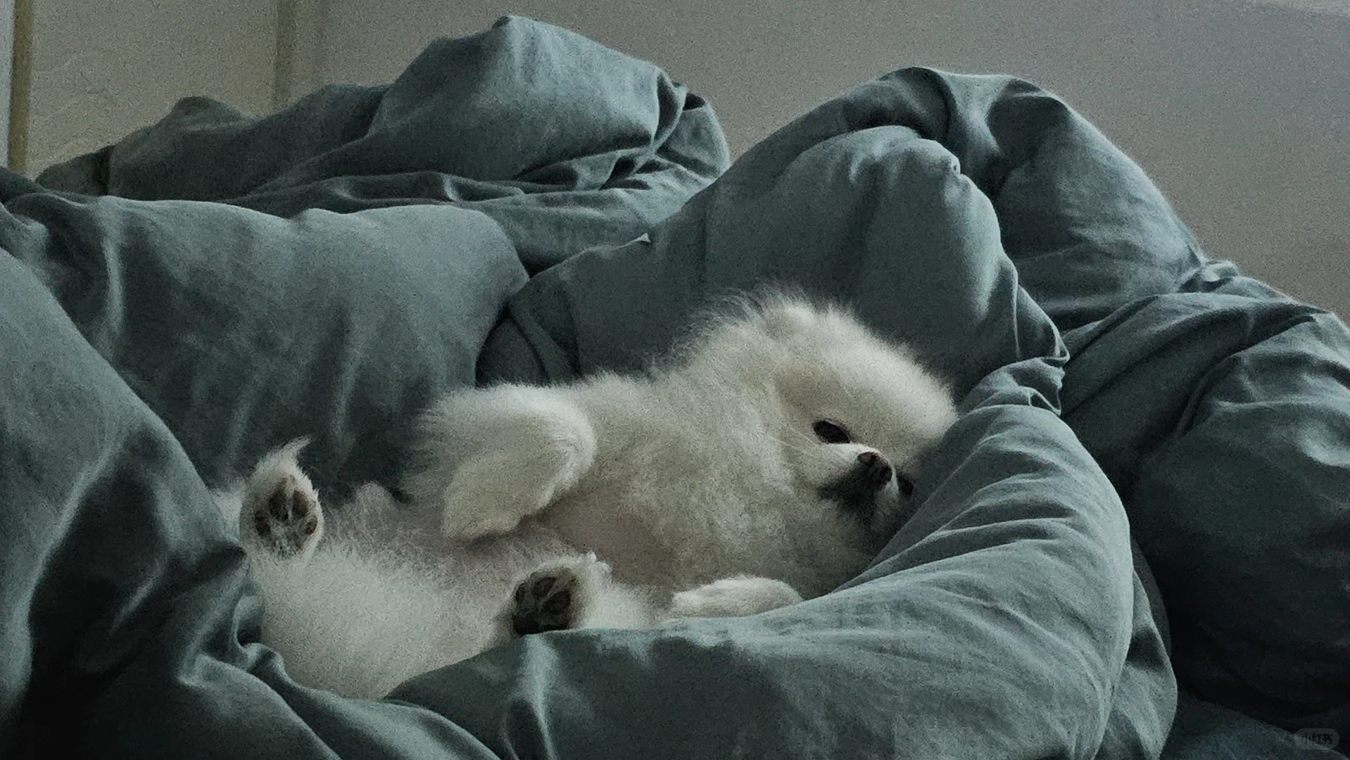 假期的正确打开方式